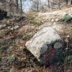 2003-29.jpg