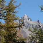 img_4913.jpg