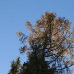 img_4925.jpg