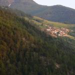 p1010440.jpg