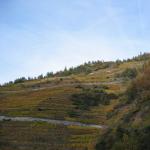 img_0127.jpg