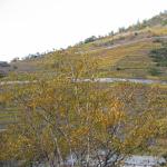 img_0137.jpg