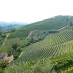 20080829_3375.jpg