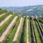 20080829_3376.jpg