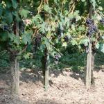 20080829_3378.jpg