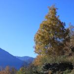 20081025_4505.jpg