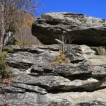 20081025_4509.jpg
