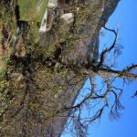 20081025_4510.jpg