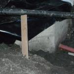 20090901_1654.jpg