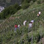 20090613_8261.jpg