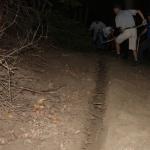 20090613_8302.jpg