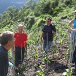 20090527_8116.jpg