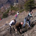 20090321_5881.jpg