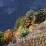 20091024_2691.jpg
