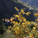 20091024_2694.jpg