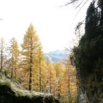 img_0482bachtobel.jpg
