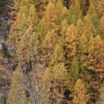 20091031_2353.jpg