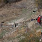 20091031_2354.jpg