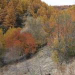 20091031_2355.jpg