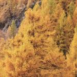20091031_2358.jpg