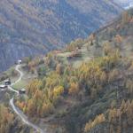 20091031_2437.jpg