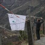 img_86878.jpg