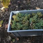 a001-img0002281829.jpg