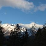 a001-img000228229.jpg