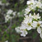 img_0030a-2012-04-28um09-31-04.jpg