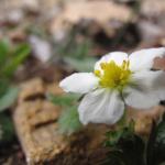img_0100a-2012-04-28um09-39-45.jpg