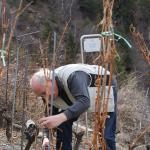 heidazunft-2013-03-23um08-37-01.jpg