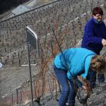 heidazunft-2013-03-23um08-48-55.jpg