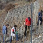 heidazunft-2013-03-23um08-57-42.jpg