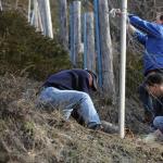 heidazunft-2013-03-23um08-59-54.jpg