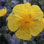 20130608_rc3a4bwc3a4rch_00012899a29.jpg