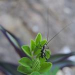 20130608_rc3a4bwc3a4rch_00012884a29.jpg