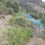 dsc02565.jpg