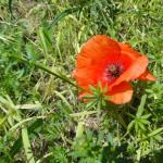 dsc01955.jpg