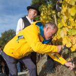 _78a6878.jpg