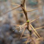dscn3355.jpg