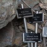 20140329-heidazunft-raebwaerch-97.jpg