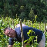 raebwaerch13.juni2015045.jpg