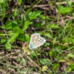 heidazunft2018-06510044.jpg