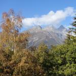 dsc07555.jpg