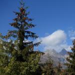 dsc07556.jpg
