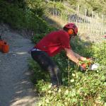 dsc07746.jpg