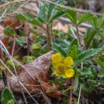 heidazunft2019-201306045-2.jpg