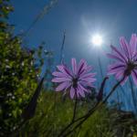 heidazunft2019-052820200037.jpg