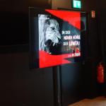 dsc08774.jpg