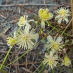 heidazunft2020-dsc03594-034.jpg